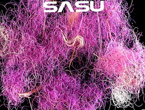 sasu sasi