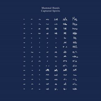 You are currently viewing MAMMAL HANDS – Captured spirits