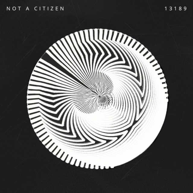 Read more about the article NOT A CITIZEN – 13189