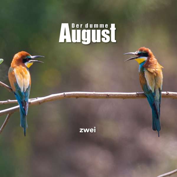 Read more about the article DER DUMME AUGUST – Zwei