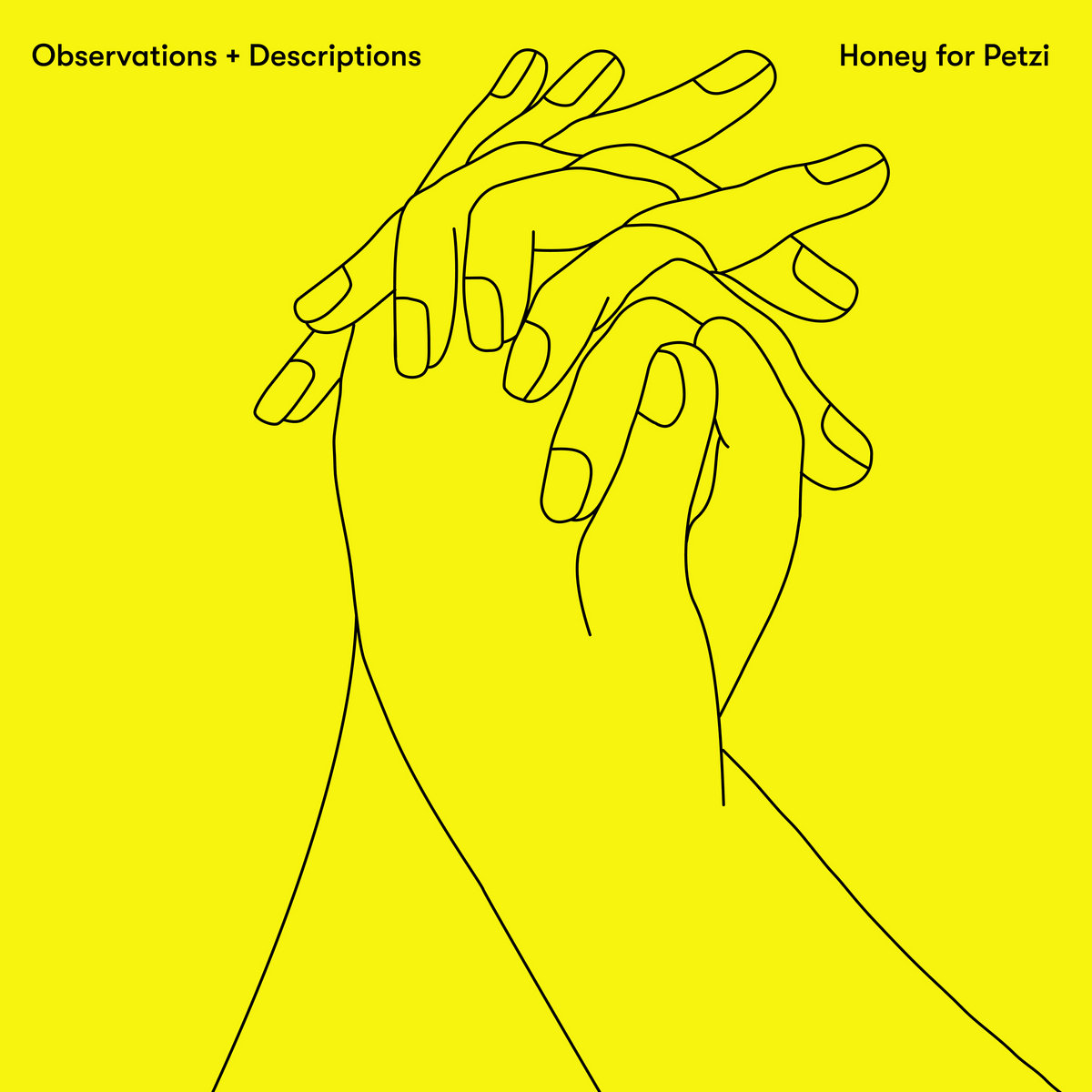 You are currently viewing HONEY FOR PETZI – Observations + descriptions