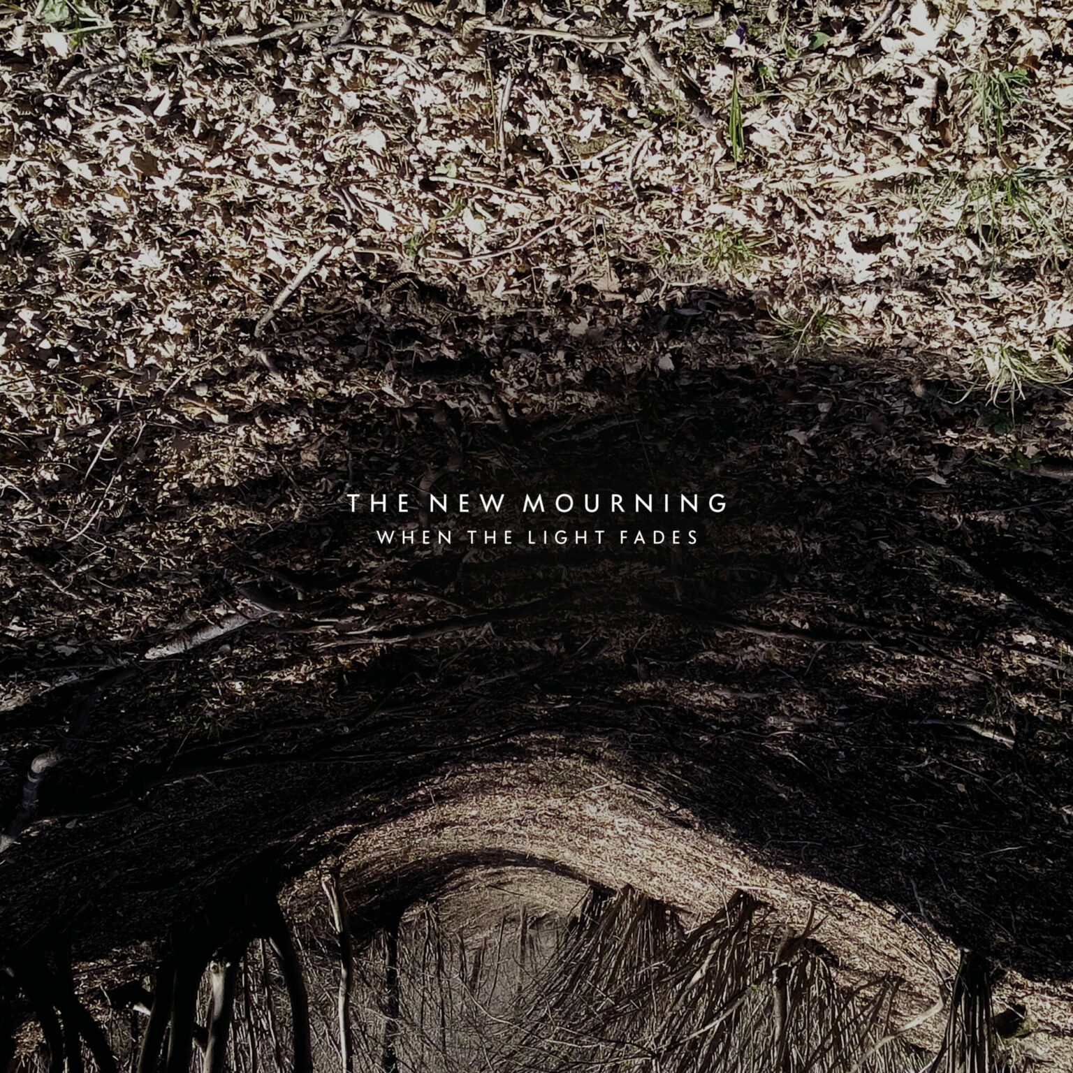 You are currently viewing THE NEW MOURNING – When the light fades