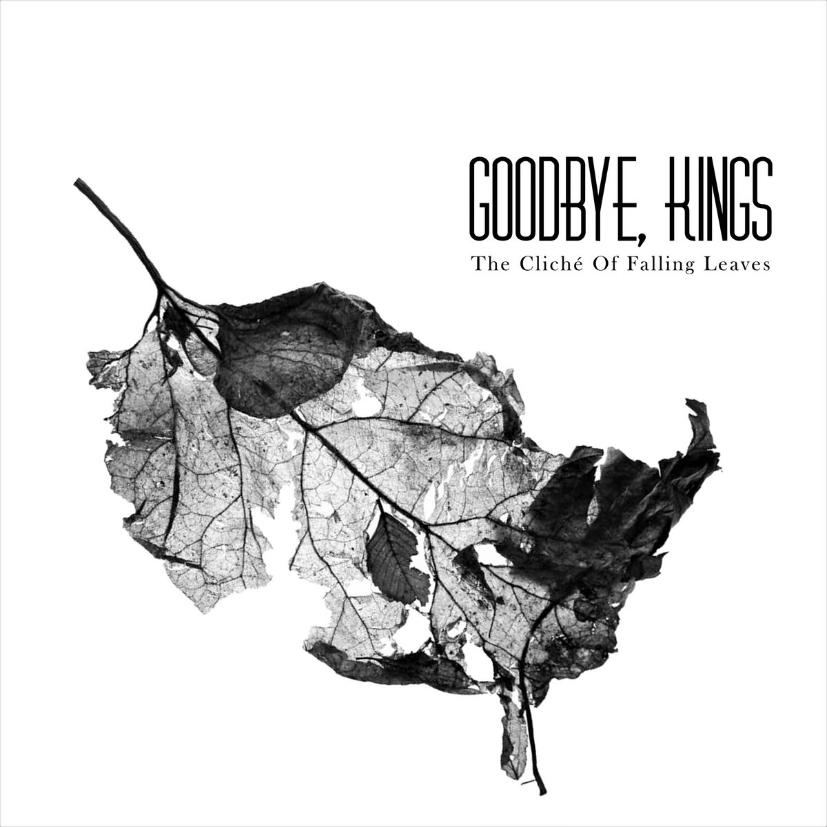 You are currently viewing GOODBYE, KINGS – The cliché of falling leaves