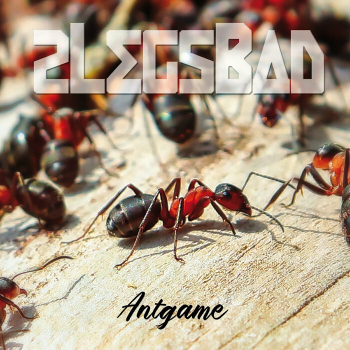Read more about the article 2LEGSBAD – Antgame