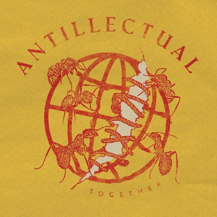 Read more about the article ANTILLECTUAL – Together