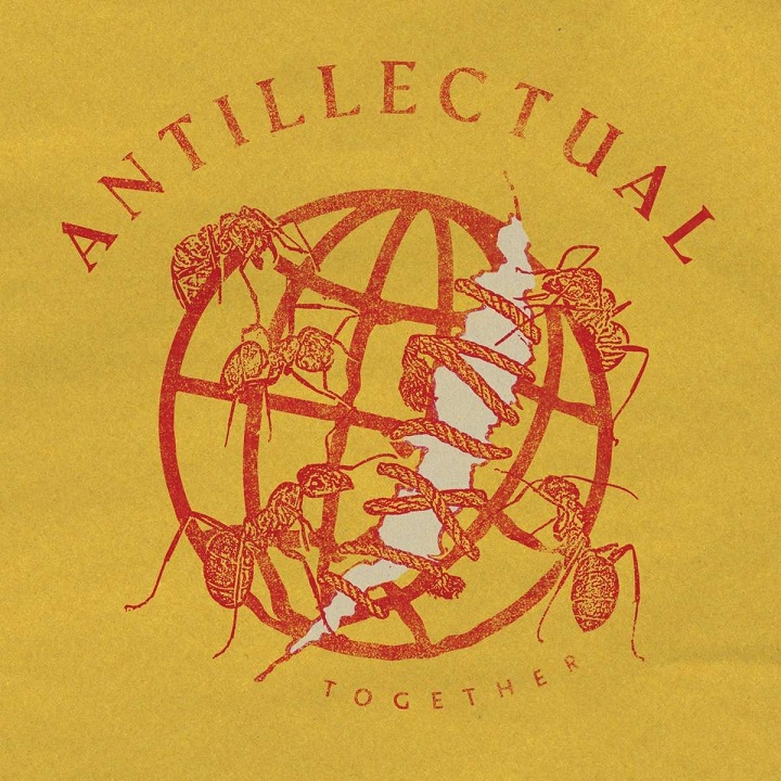 You are currently viewing ANTILLECTUAL – Together