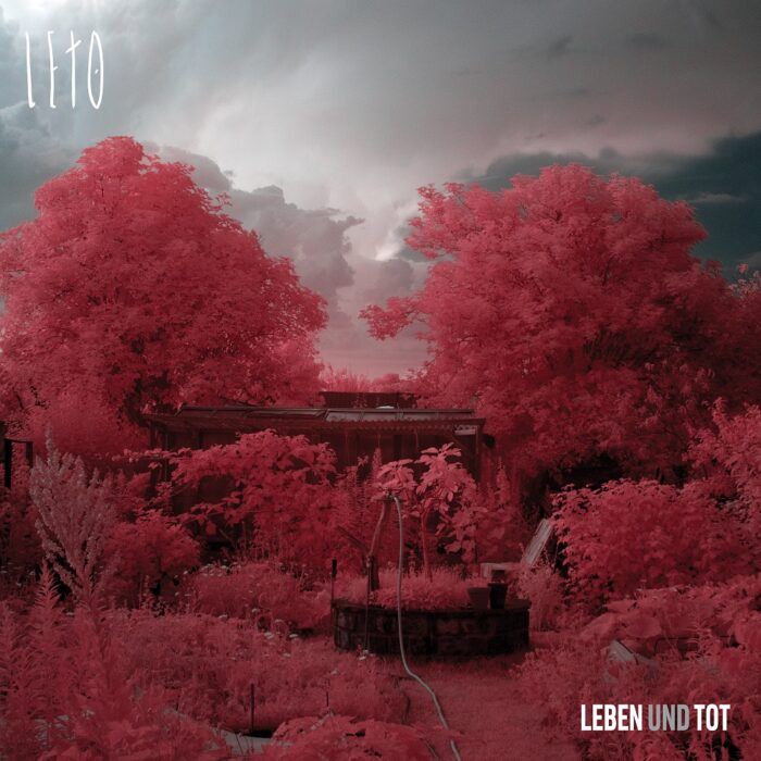 Read more about the article LETO – Leben und tot