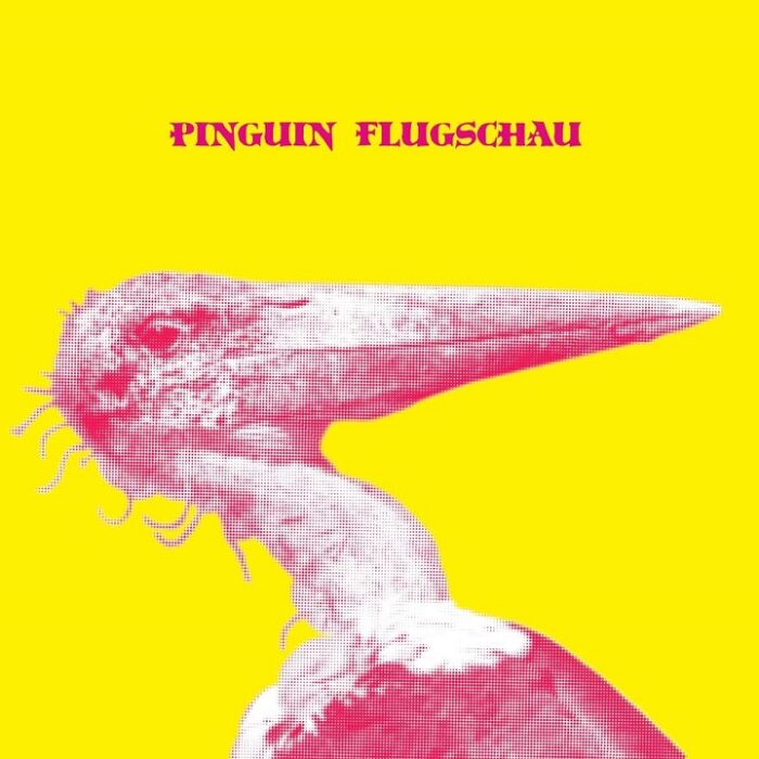Read more about the article PINGUIN FLUGSCHAU – s/t