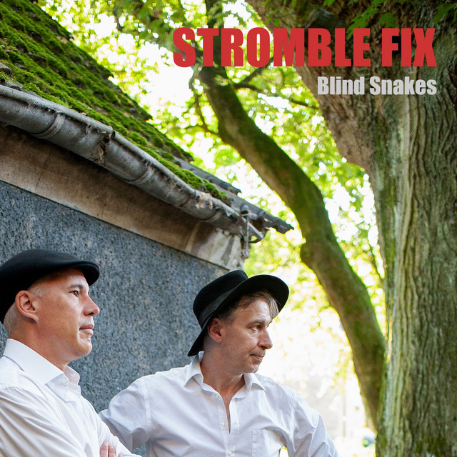 You are currently viewing STROMBLE FIX – Blind snakes