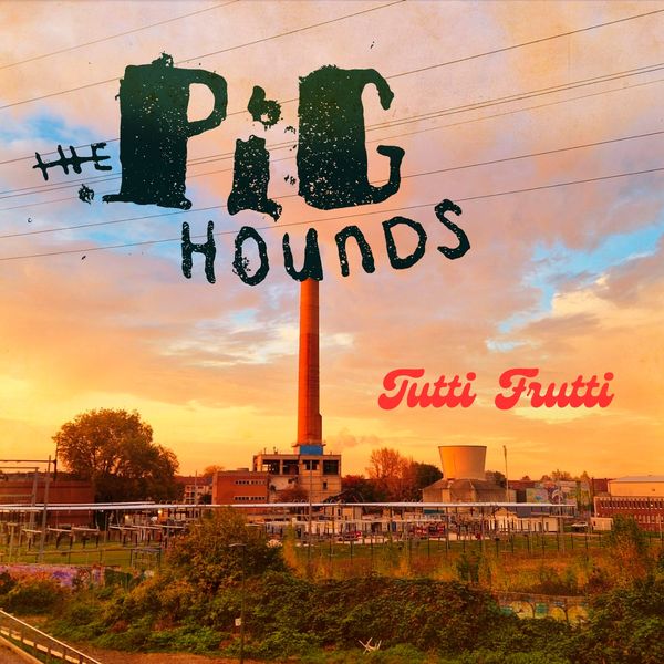 You are currently viewing THE PIGHOUNDS – Tutti frutti