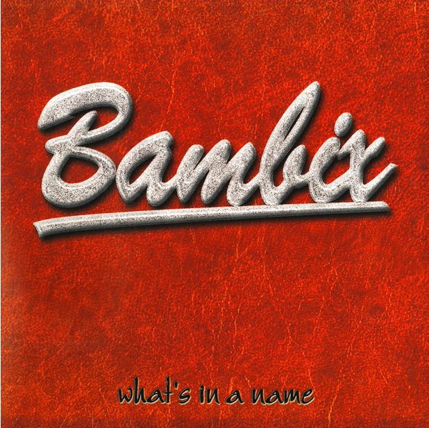 You are currently viewing BAMBIX – What´s in a name (Re-Release)