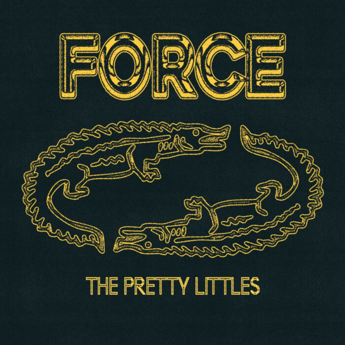 Read more about the article FORCE – The pretty littles