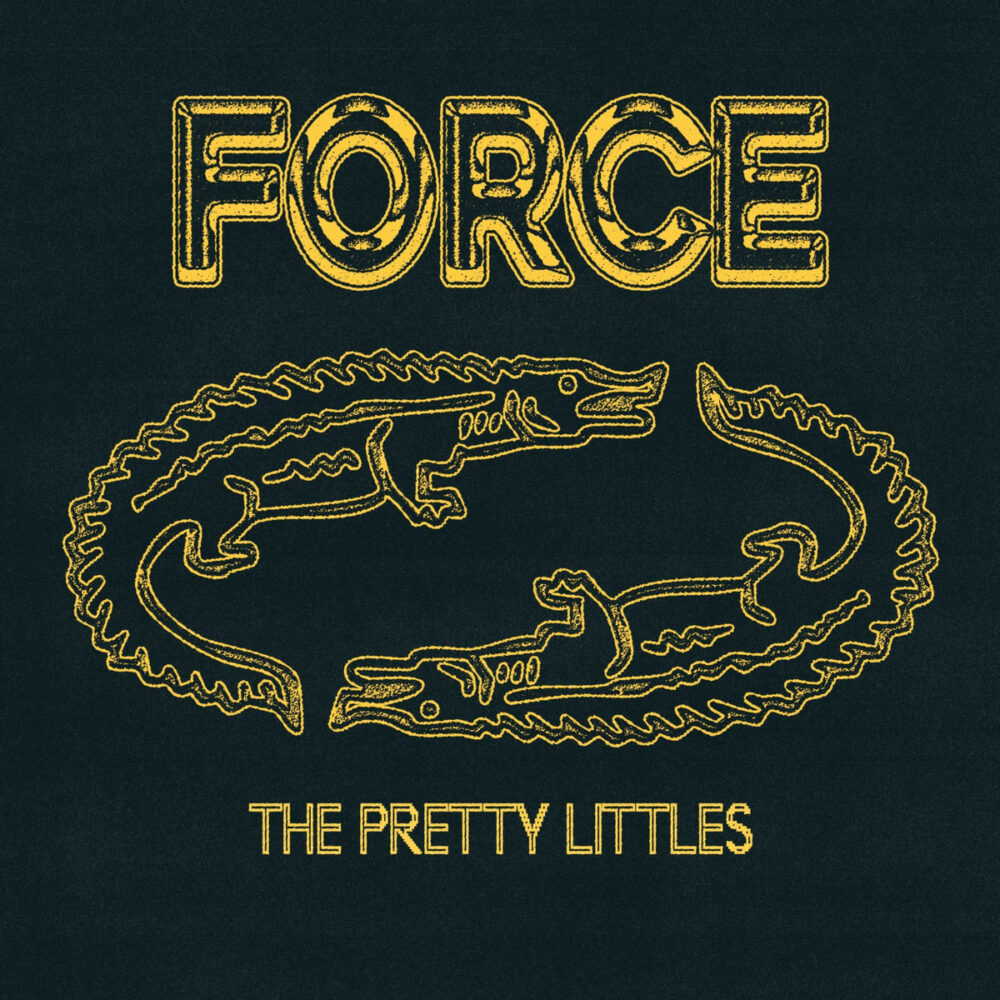 You are currently viewing FORCE – The pretty littles