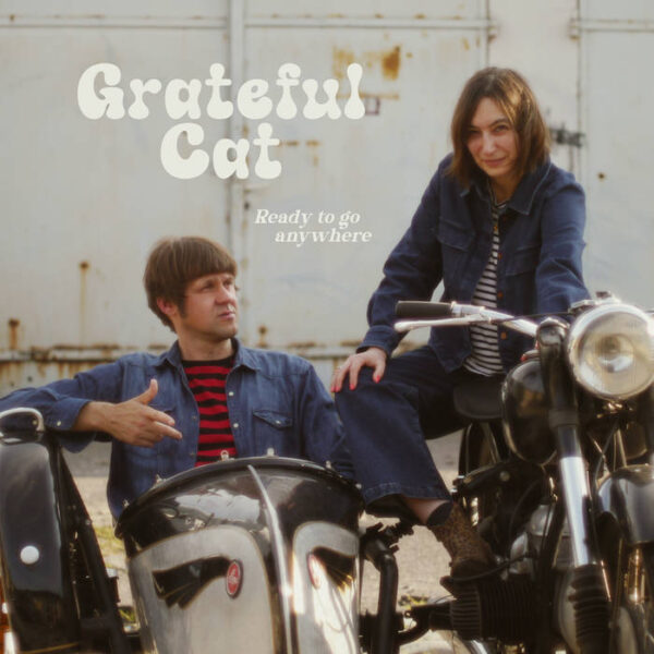 GRATEFUL CAT – Ready to go anywhere
