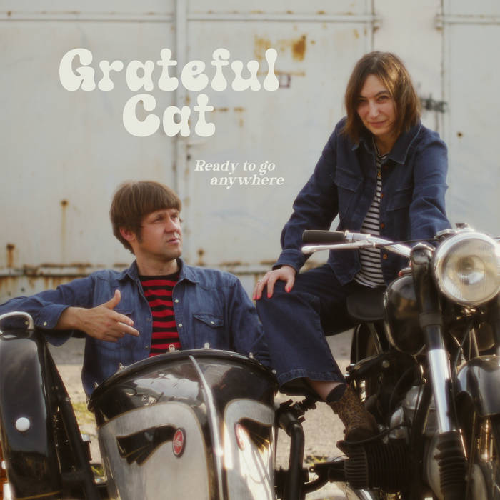 Read more about the article GRATEFUL CAT – Ready to go anywhere