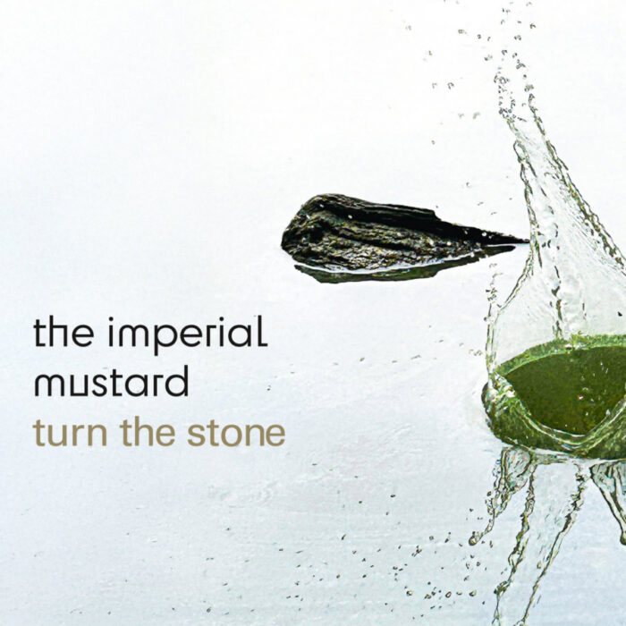 Read more about the article THE IMPERIAL MUSTARD – Turn the stone