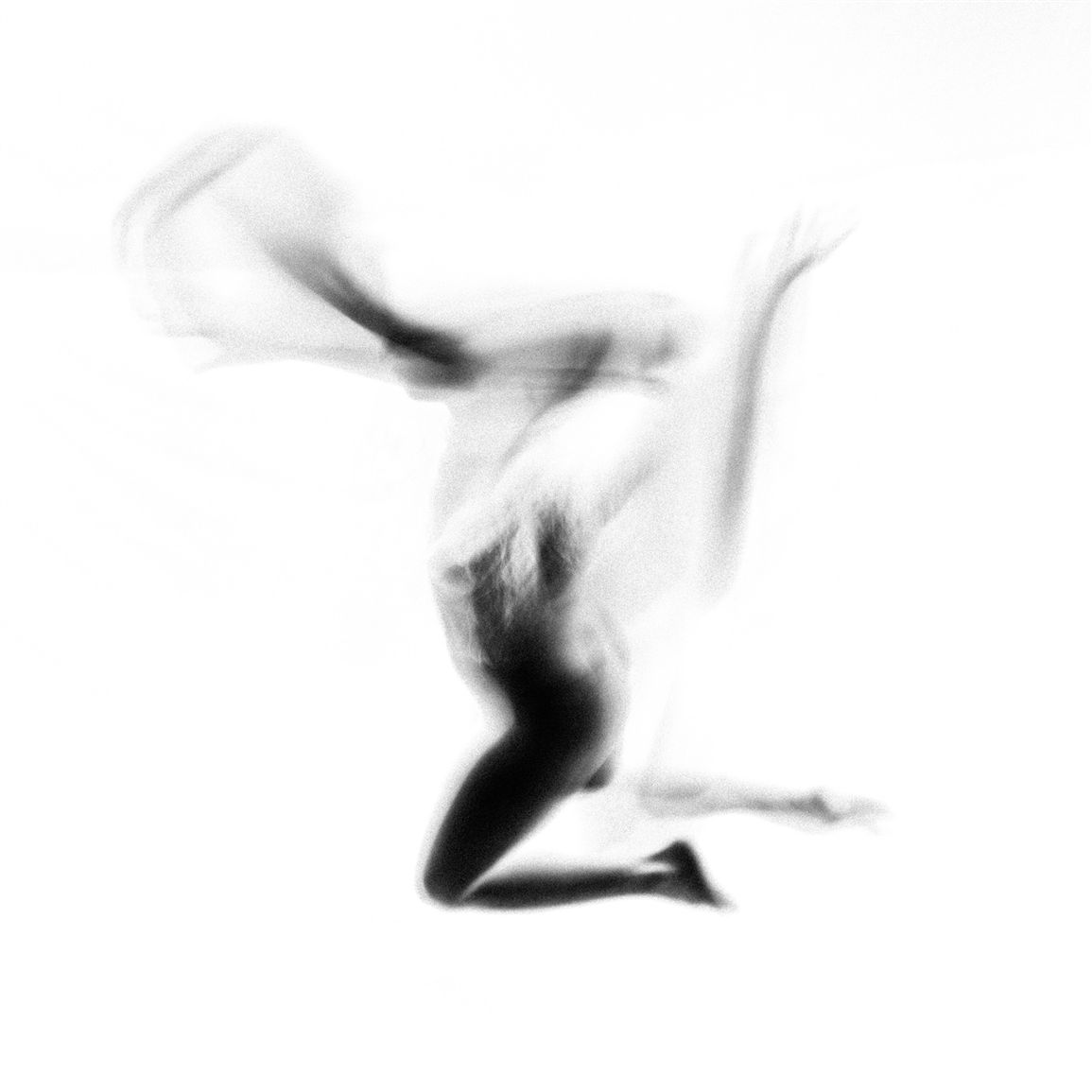 You are currently viewing LONE ASSEMBLY – Knots & chains