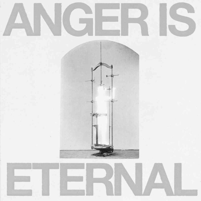 Read more about the article ANGER MGMT – Anger is eternal