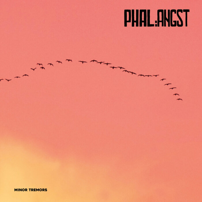 Read more about the article PHAL:ANGST – Minor tremors