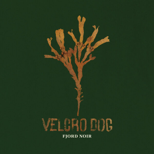 VELCRO DOG – Fjord noir
