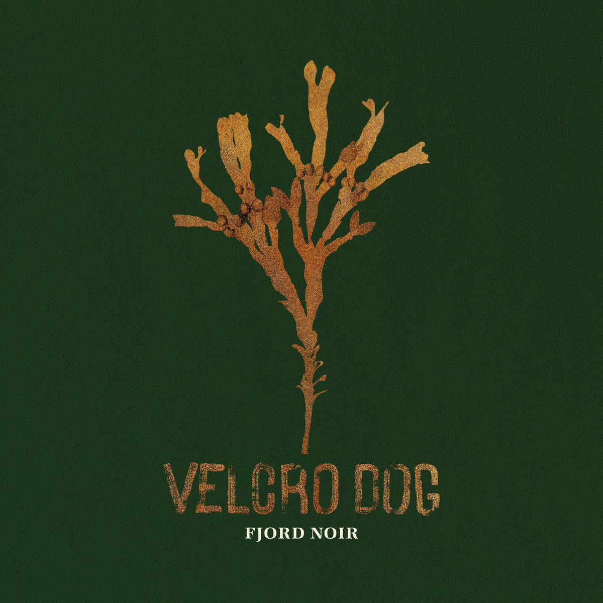 You are currently viewing VELCRO DOG – Fjord noir