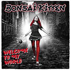 You are currently viewing BONSAI KITTEN – Welcome to my world