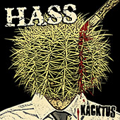 Read more about the article HASS – Kacktus