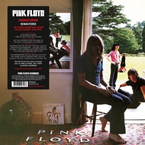Read more about the article PINK FLOYD – Remastered Vinyl Reissues, Vol. I