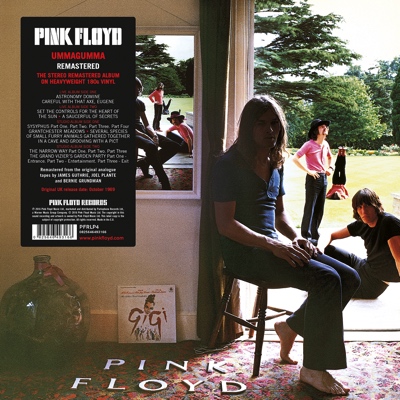 You are currently viewing PINK FLOYD – Remastered Vinyl Reissues, Vol. I
