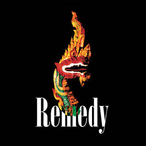Read more about the article REMEDY – s/t