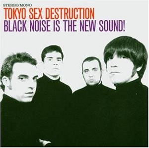 Read more about the article TOKYO SEX DESTRUCTION – Black noise is the new sound!