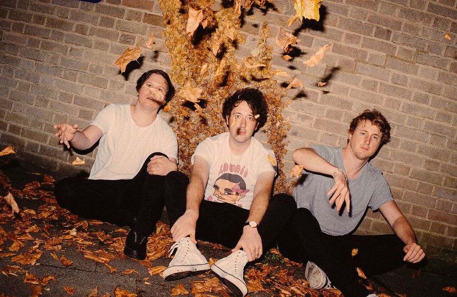 Read more about the article THE WOMBATS – Ab nun erwachsen