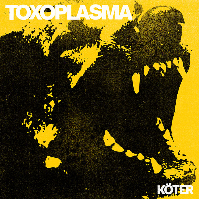 You are currently viewing TOXOPLASMA – Köter