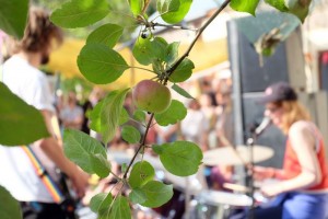 Read more about the article Alínæ Lumr Festival 2018 (Storkow)