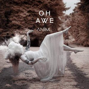 Read more about the article ANIIML – Oh awe
