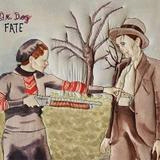 Read more about the article DR. DOG – Fate