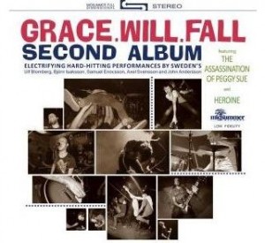 Read more about the article GRACE.WILL.FALL – Second album