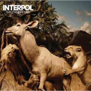Read more about the article INTERPOL – Our love to admire