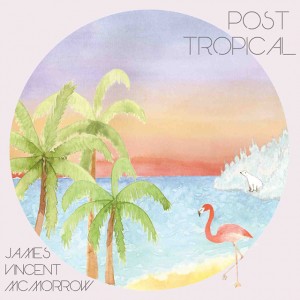 Read more about the article JAMES VINCENT MCMORROW – Post tropical
