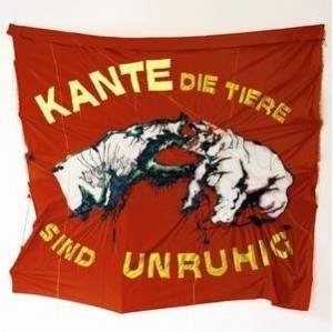 Read more about the article KANTE – Die Tiere sind unruhig