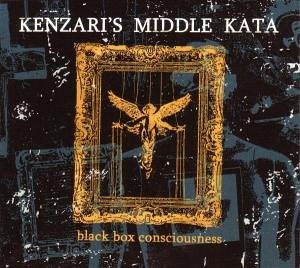 Read more about the article KENZARI’S MIDDLE KATA – Black box consciousness