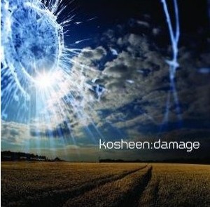 Read more about the article KOSHEEN – Damage