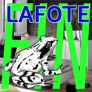 Read more about the article LAFOTE – Fin