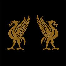 Read more about the article JOEY CAPE & JON SNODGRASS – Liverbirds (Re-Release)