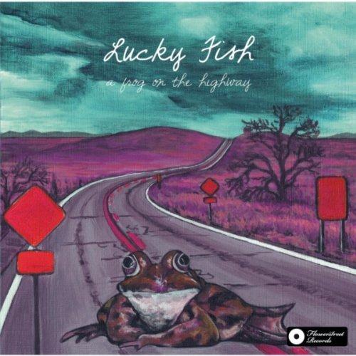 You are currently viewing LUCKY FISH – A frog on the highway