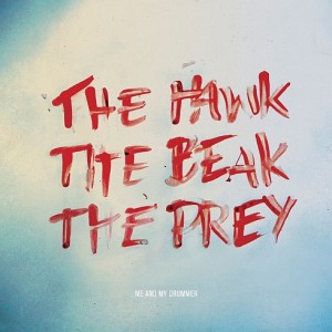 Read more about the article ME AND MY DRUMMER – The hawk, the beak, the prey