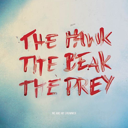 You are currently viewing ME AND MY DRUMMER – The hawk, the beak, the prey
