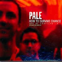 You are currently viewing PALE – How to survive chance