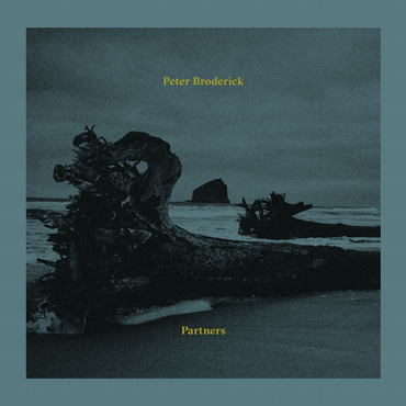 You are currently viewing PETER BRODERICK – Partners