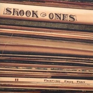 Read more about the article SHOOK ONES – Facetious folly feet